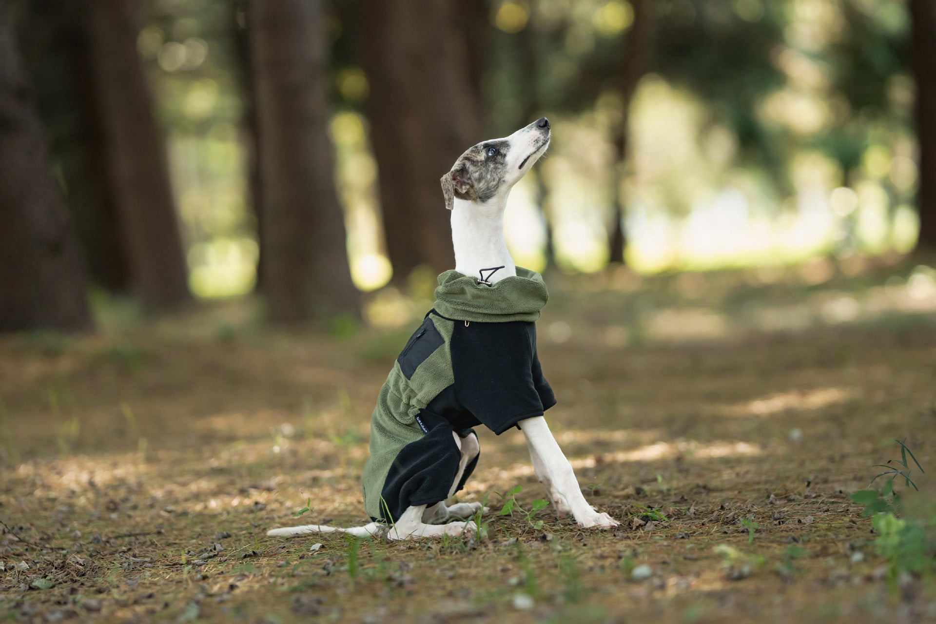 fleece-dog-jumpsuit-detachable-neck-warmer-whippet-greyhound
