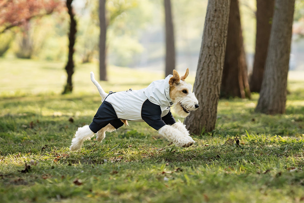 hooded-waterproof-dog-jumpsuit-adjustable-drawstring