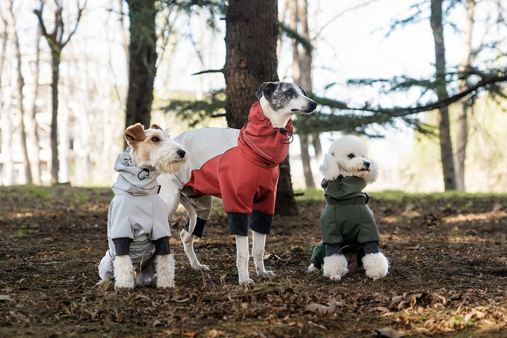 waterproof-dog-jumpsuit-4-leg-raincoat