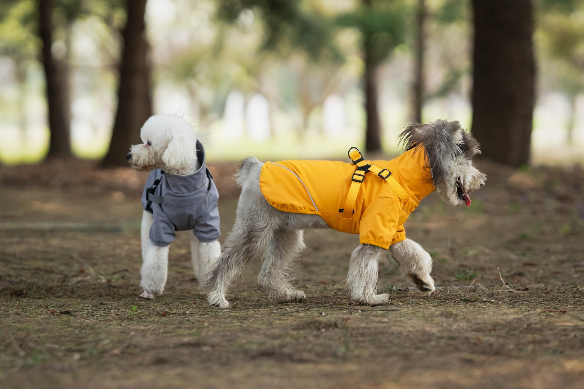 Waterproof Dog Raincoat – Harness Hook, Reflective Strip, Breathable Lining