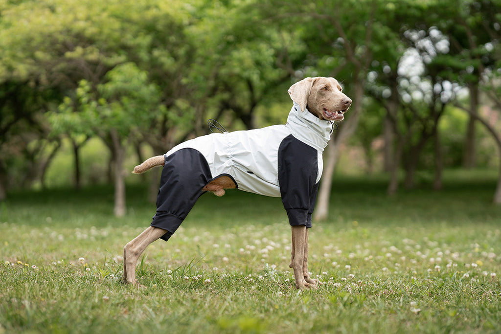hooded-waterproof-dog-jumpsuit-adjustable-drawstring