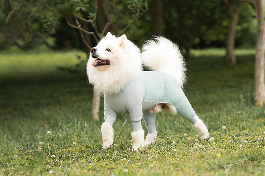 ice-silk-dog-jumpsuit-cooling-ice-pack-uv-protection