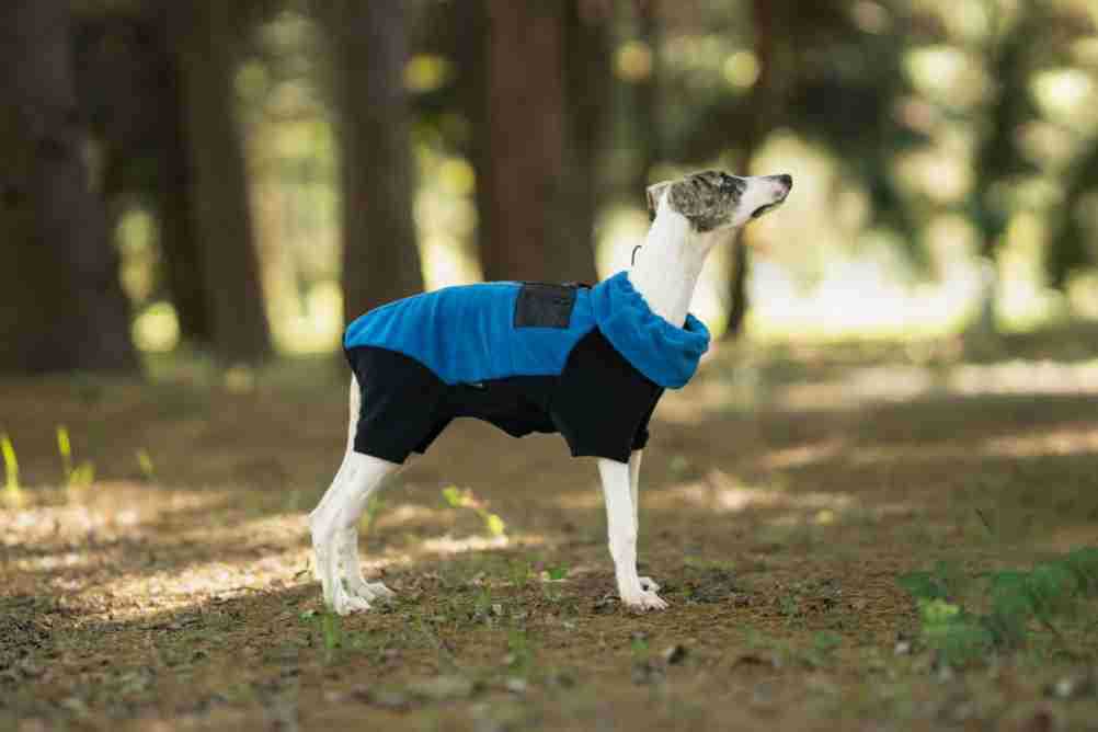 fleece-dog-jumpsuit-detachable-neck-warmer-whippet-greyhound