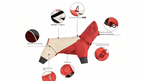 waterproof-dog-jumpsuit-4-leg-raincoat