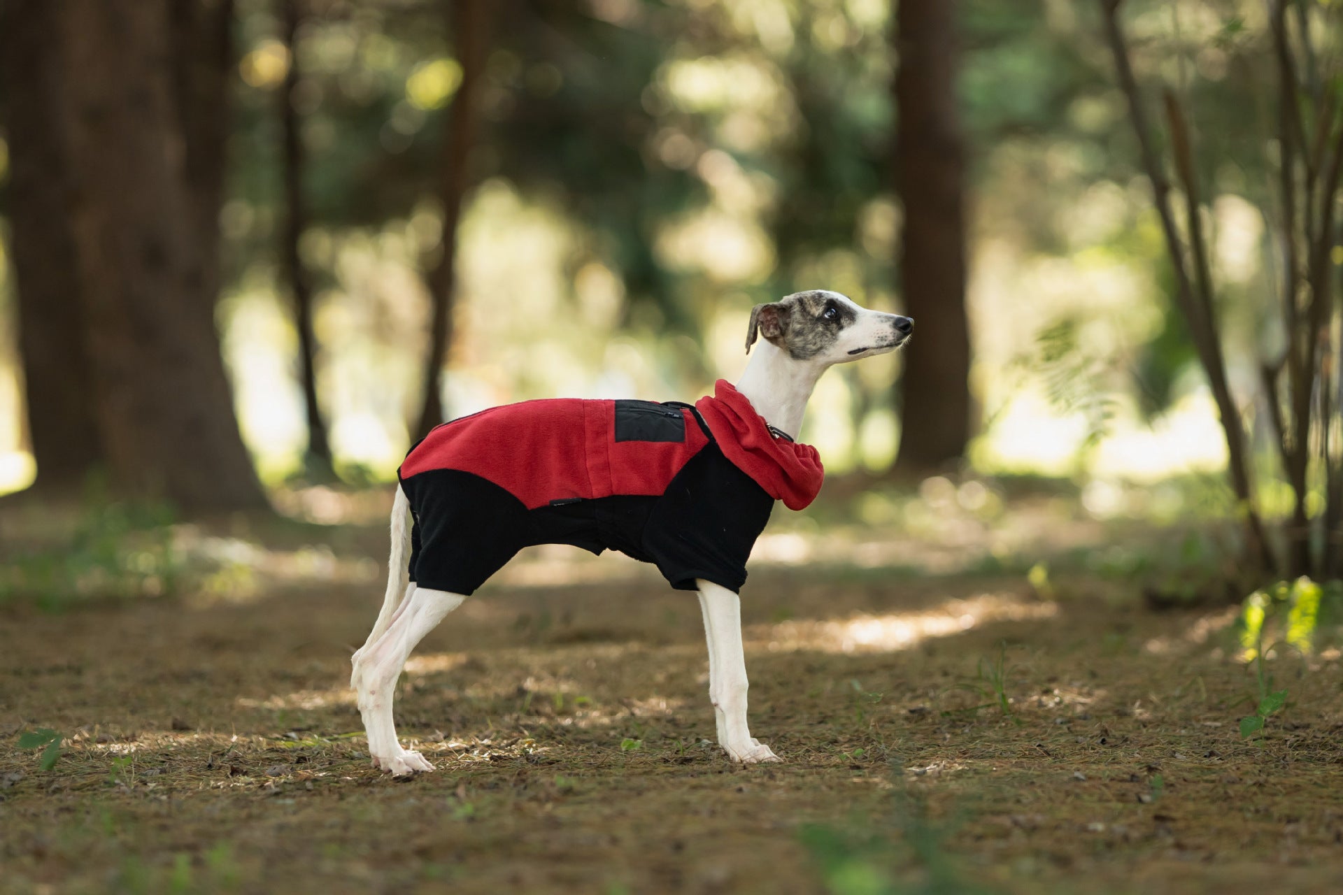 fleece-dog-jumpsuit-detachable-neck-warmer-whippet-greyhound