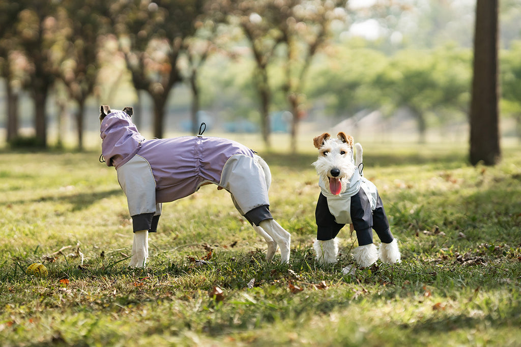 hooded-waterproof-dog-jumpsuit-adjustable-drawstring