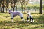 hooded-waterproof-dog-jumpsuit-adjustable-drawstring
