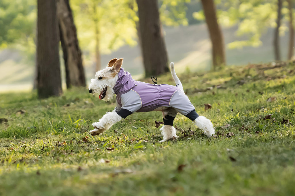 hooded-waterproof-dog-jumpsuit-adjustable-drawstring