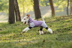 hooded-waterproof-dog-jumpsuit-adjustable-drawstring