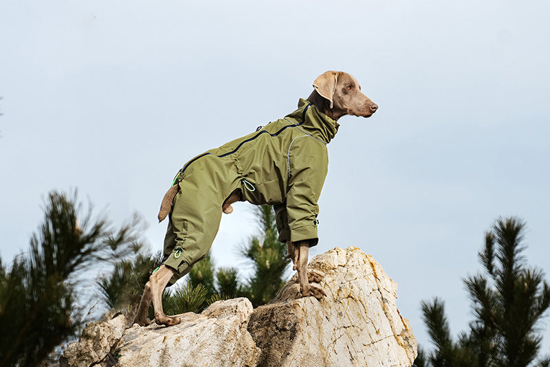 4-leg-waterproof-dog-jumpsuit-fleece-lined