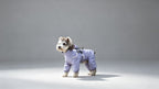 4-leg-dog-raincoat-built-in-harness-small-breeds