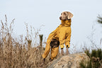 4-leg-waterproof-dog-jumpsuit-fleece-lined