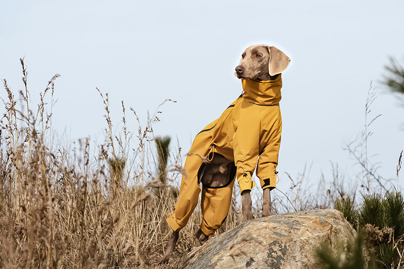 4-leg-waterproof-dog-jumpsuit-fleece-lined