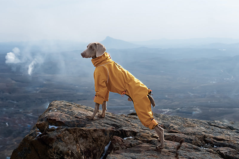4-leg-waterproof-dog-jumpsuit-fleece-lined