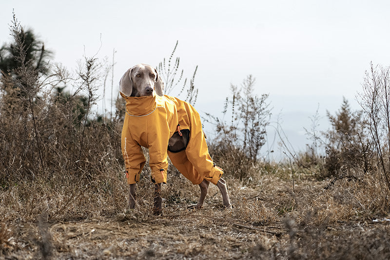 4-leg-waterproof-dog-jumpsuit-fleece-lined