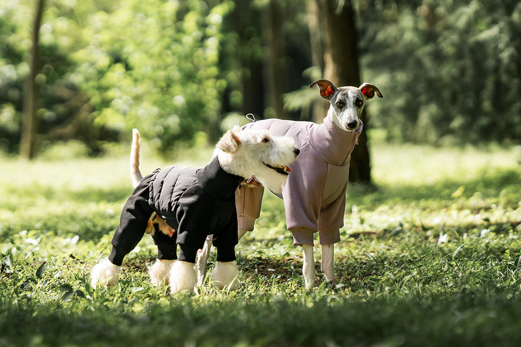 pearl-cotton-padded-dog-jumpsuit-winter-puffer-coat