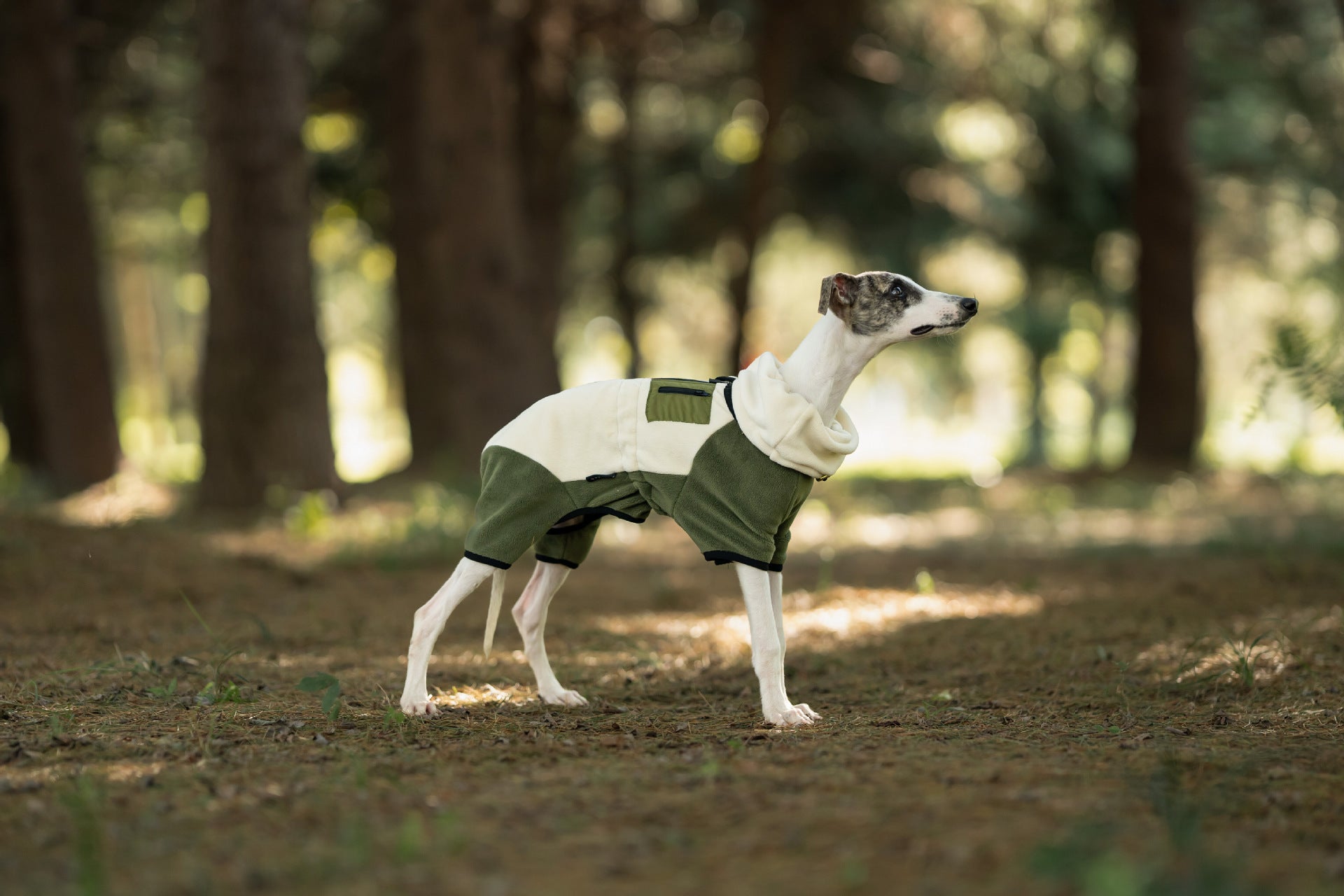 fleece-dog-jumpsuit-detachable-neck-warmer-whippet-greyhound