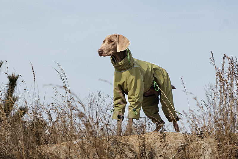 4-leg-waterproof-dog-jumpsuit-fleece-lined