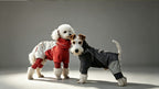 waterproof-dog-jumpsuit-4-leg-raincoat