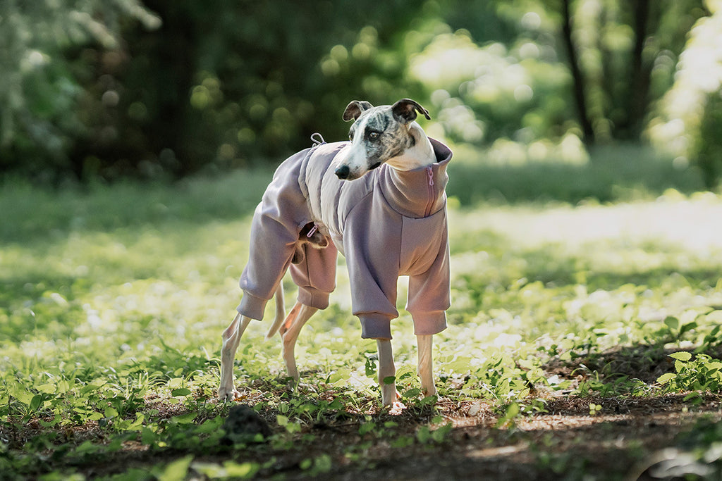 pearl-cotton-padded-dog-jumpsuit-winter-puffer-coat
