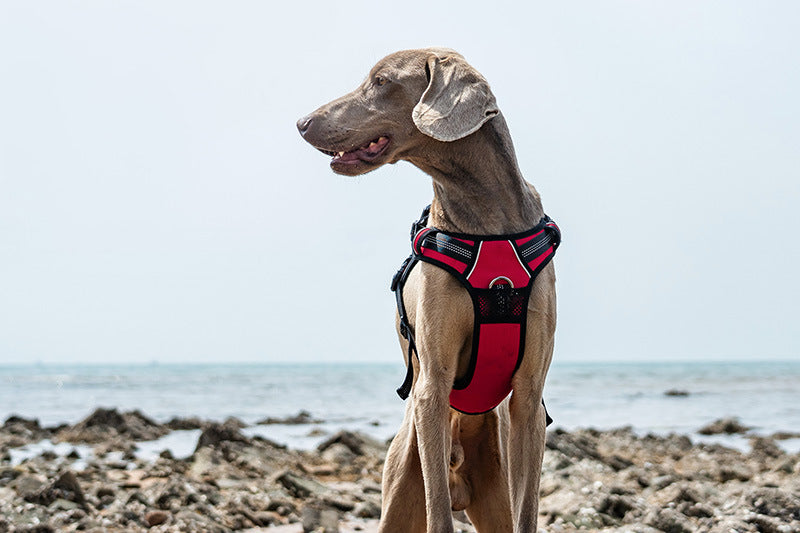 No-Pull Dog Harness – Reflective, Adjustable, Two-Way Traction