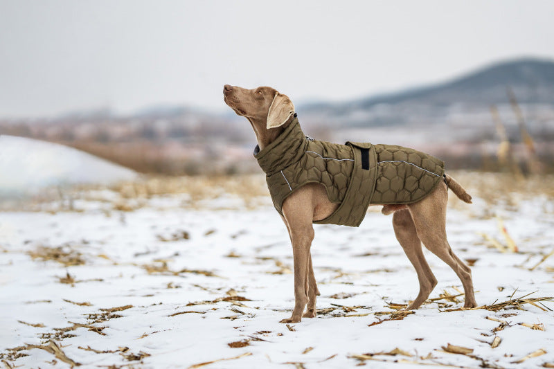 quilted-fleece-dog-vest-winter-jacket-harness-reflective