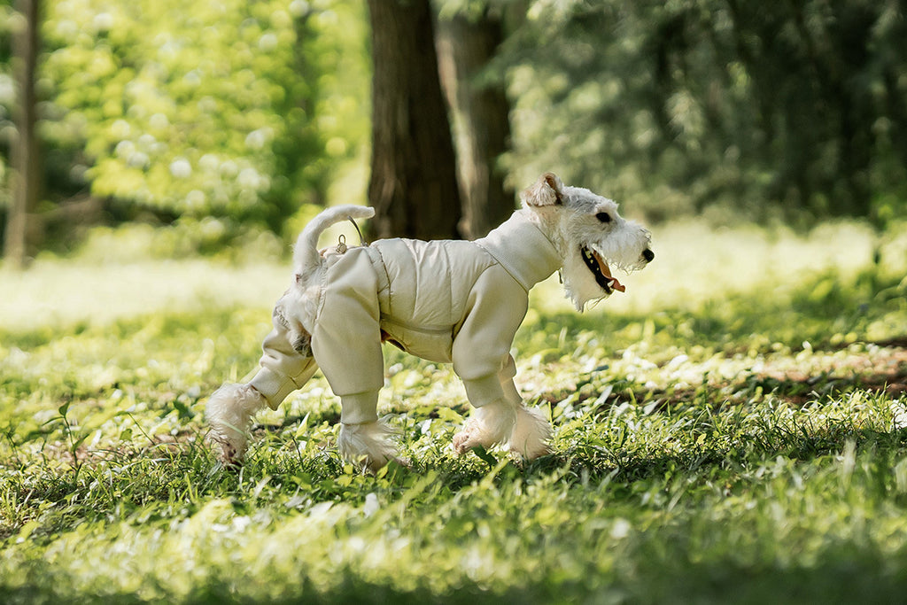 pearl-cotton-padded-dog-jumpsuit-winter-puffer-coat