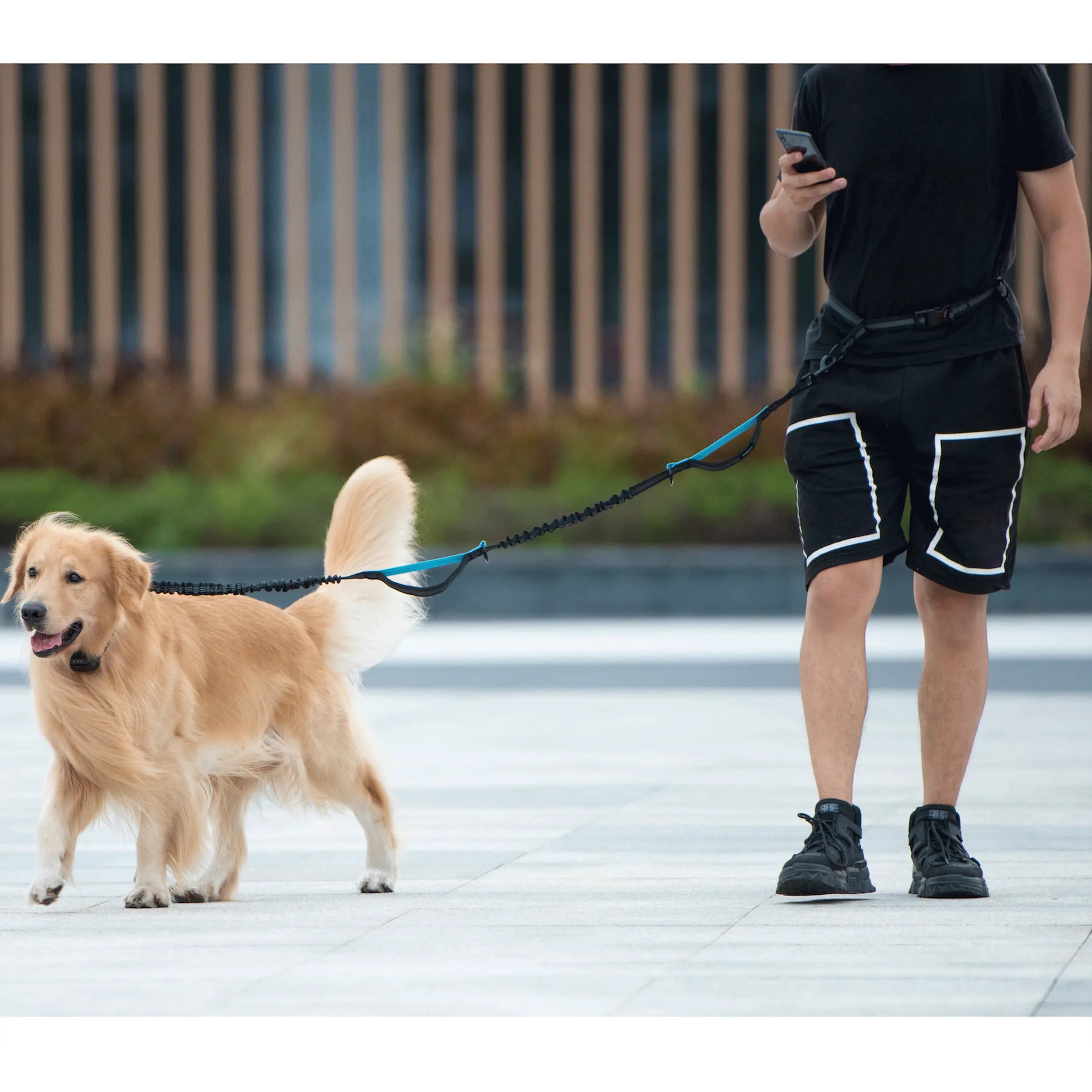 hands-free-dog-leash-double-bungee-shock-absorber-waist-belt