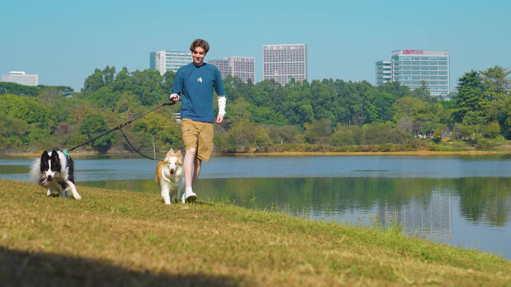 double-dog-leash-bungee-padded-reflectiv
