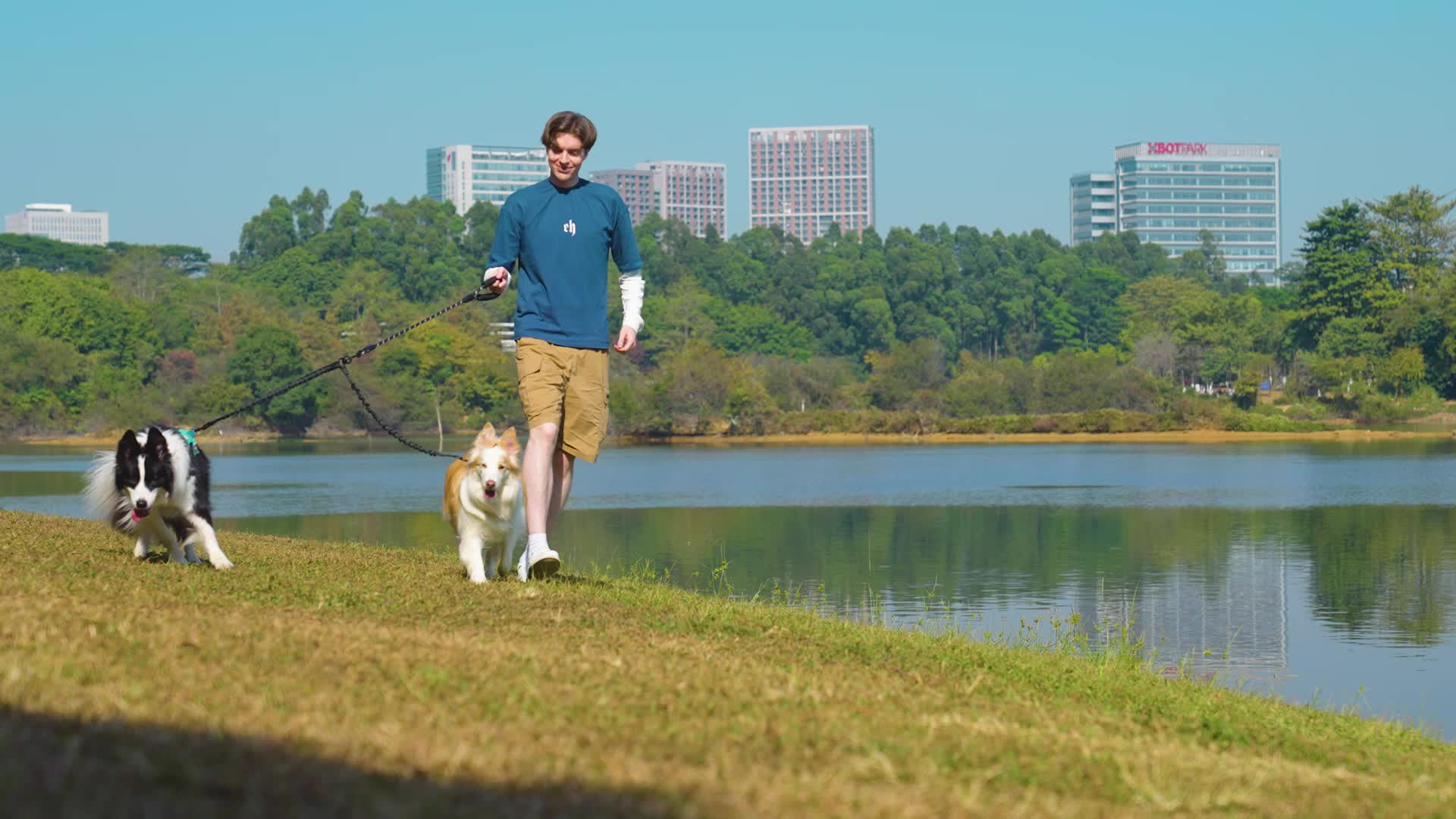 double-dog-leash-bungee-padded-reflectiv