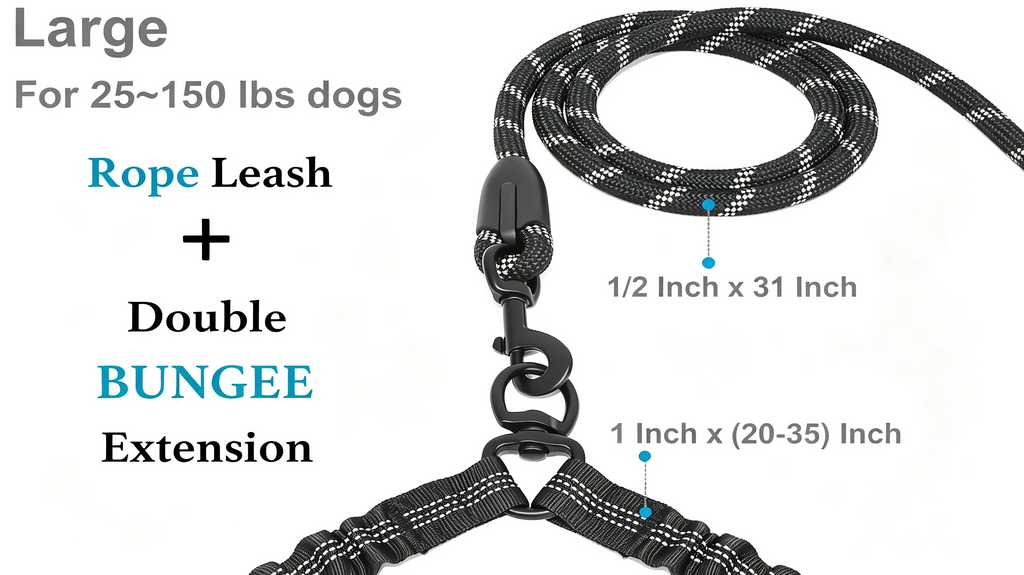 double-dog-leash-bungee-padded-reflectiv