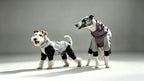 hooded-waterproof-dog-jumpsuit-adjustable-drawstring
